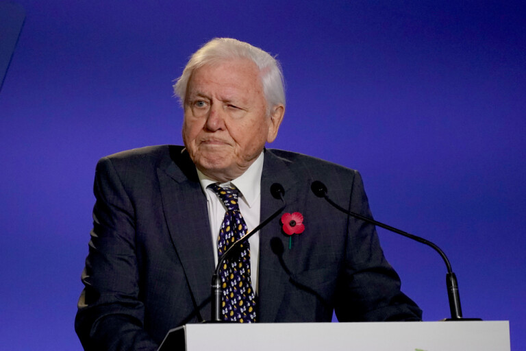 David Attenborough ska pigga upp britter