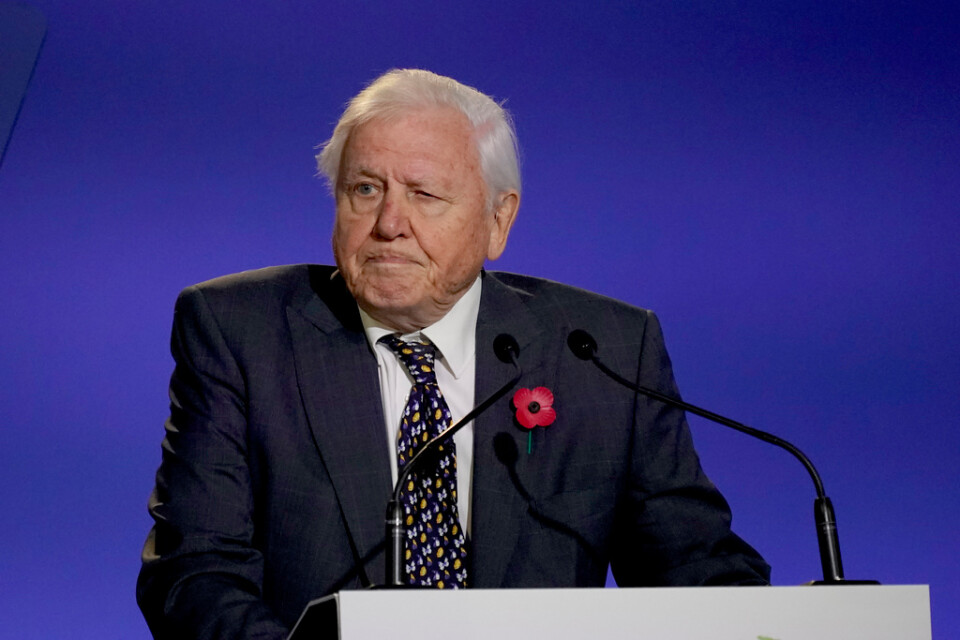 David Attenborough är upprörd över att BBC inte sänder det sjätte avsnittet tillsammans med de andra i hans "Wild isles"-serie. Arkivbild.