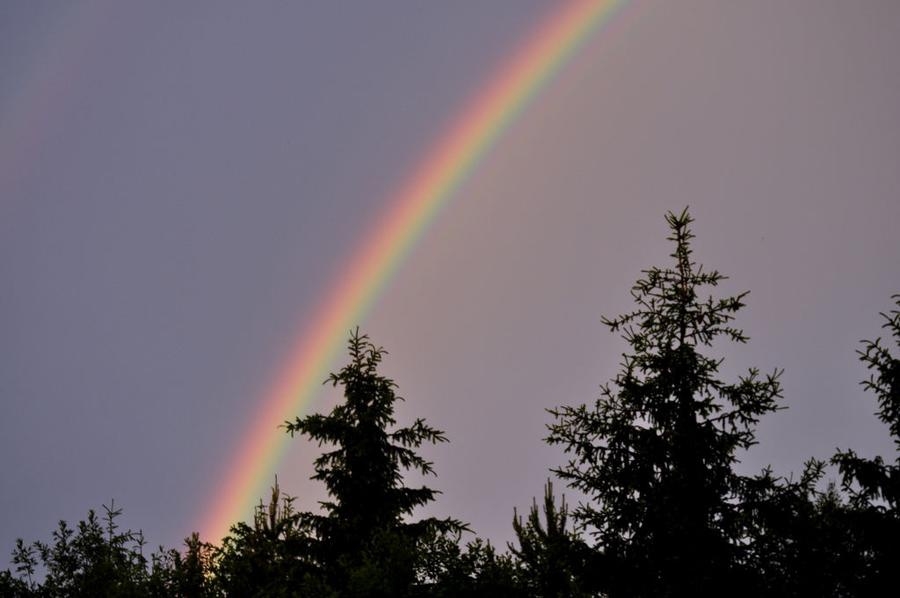 Som kameran såg det igår, en otroligt färgstark regnbåge i Bidalite, skriver Solveig Silverin i Torsås.