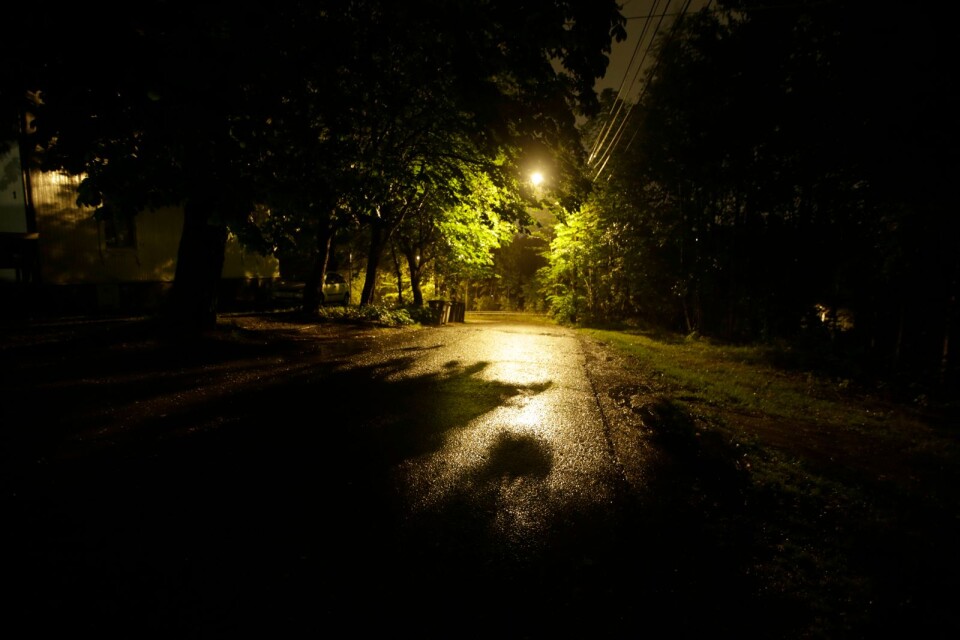 Skribenten vill ha belysning för att våga gå i våra parker på kvällarna.