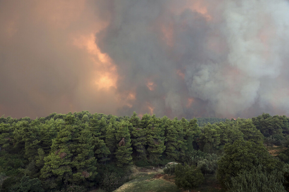 Rök och eld stiger från skogsbranden på ön Euboia nordost om Aten.