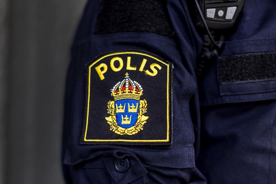 ”Om man ska hantera gängkriminella på Hässleholmen och inte har en aning om vilka de är, är det inte alltid bra med en bakgrund på Försäkringskassan eller Skatteverket”.