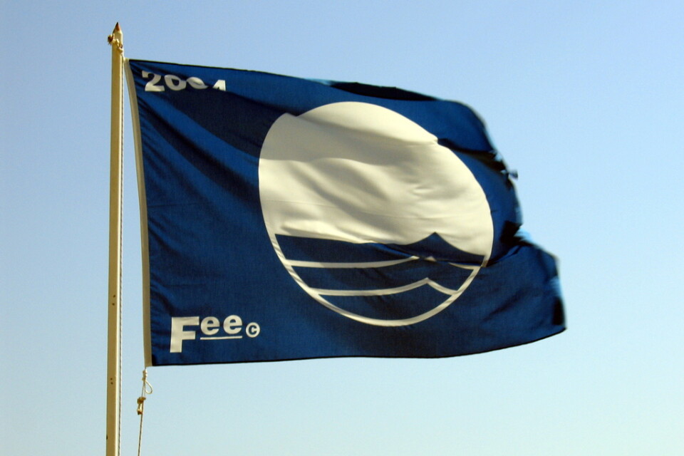 De blåa flaggorna introducerades 1987, men det var först 1994 som de började hissas i Sverige. Arkivbild.