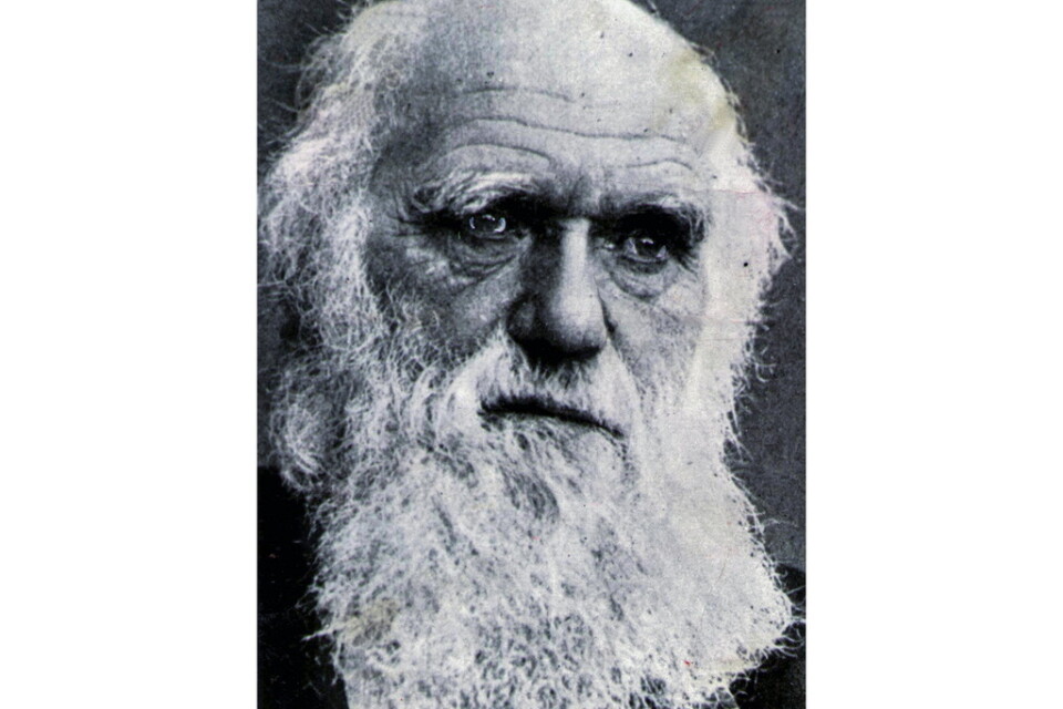Charles Darwin hade kanske aldrig fått Nobelpriset om det hade funnits på hans tid - trots att hans teori om det naturliga urvalet är den kanske mest banbrytande vetenskapliga upptäckten genom tiderna.
