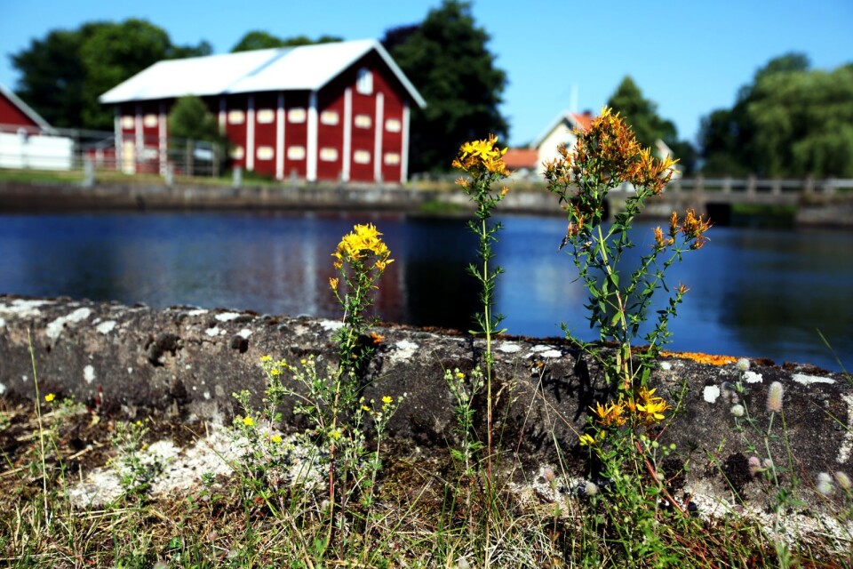 Diskussionen går vidare kring den småskaliga vattenkraften, där det finns 300 dammar i Kalmar län. Men synen på dem och vad de ger skiljer sig åt.