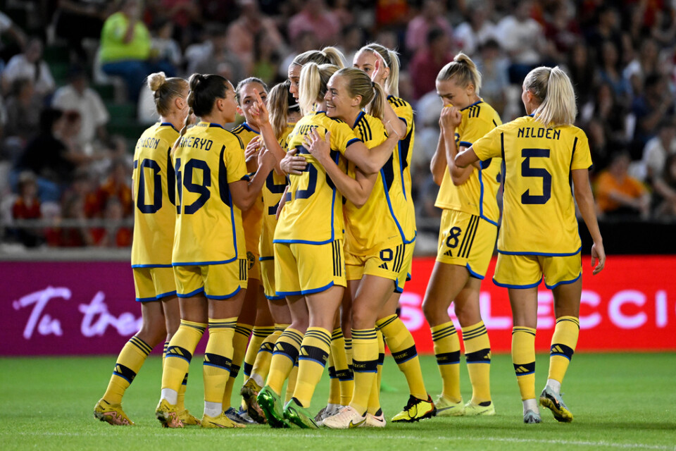 Svenska landslaget ska spela i VM i sommar. Arkivbild.