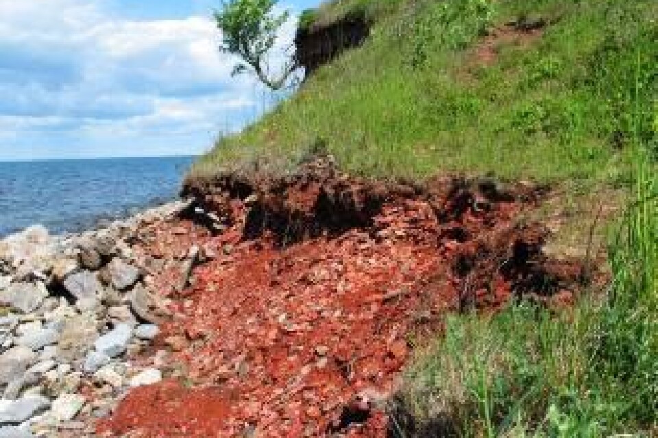 Tre miljoner kubikmeter giftig rödfyr ligger i stora högar i Degerhamnsområdet. Foto: SOFIA HEDMAN