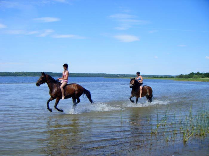 Den här bilden på Emelie och Sofia tog Lena Johansson, Dalsjöfors, i Sämsjön med vattnet upp till knäna för att fånga ett sommarminne som visar glädjen i att få bada med hästarna en varm dag i juli.