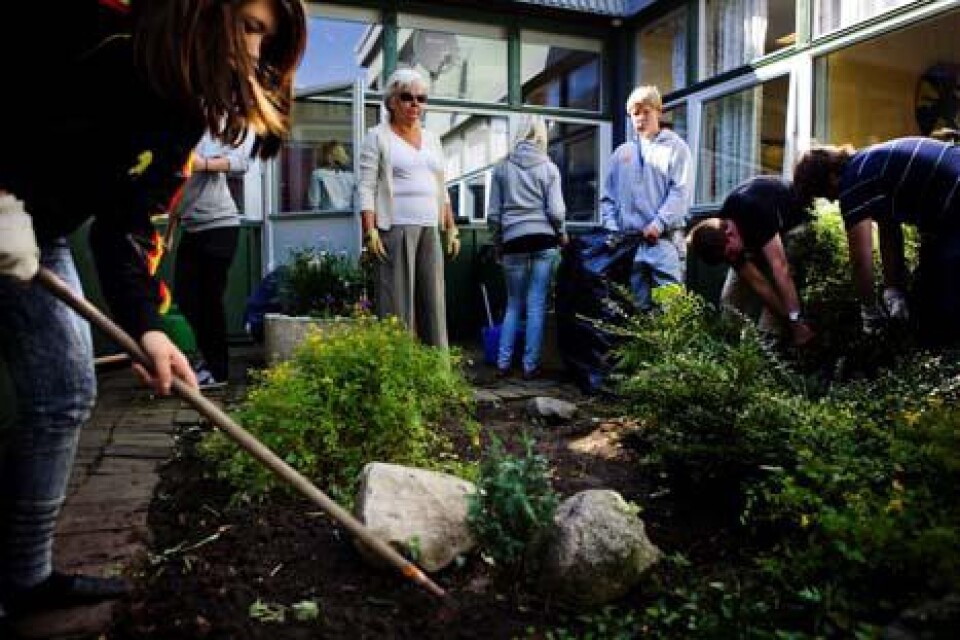En grupp fick i uppdrag att rensa ogräs och snygga till en innergård på skolan.