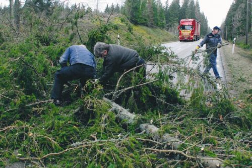 Foto: Frans Feldmanis Väghinder. Flera träd föll ner över körbanor i Blekinge, som här på riksväg 27 mellan Hallabro och Öljehult.