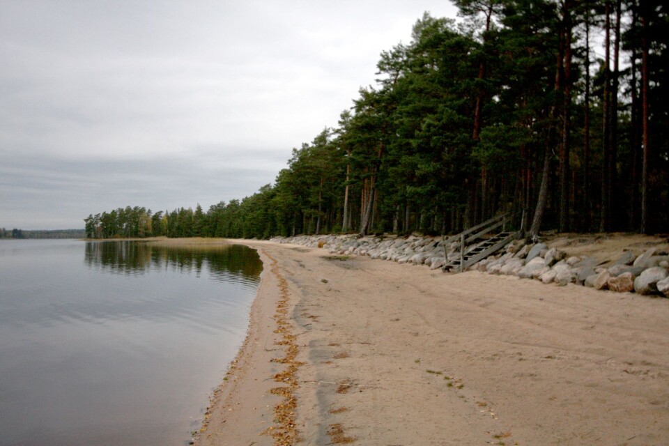 Vattnet i Lagmanshagasjön utanför Ljungsarp är just nu otjänligt. Arkivbild.