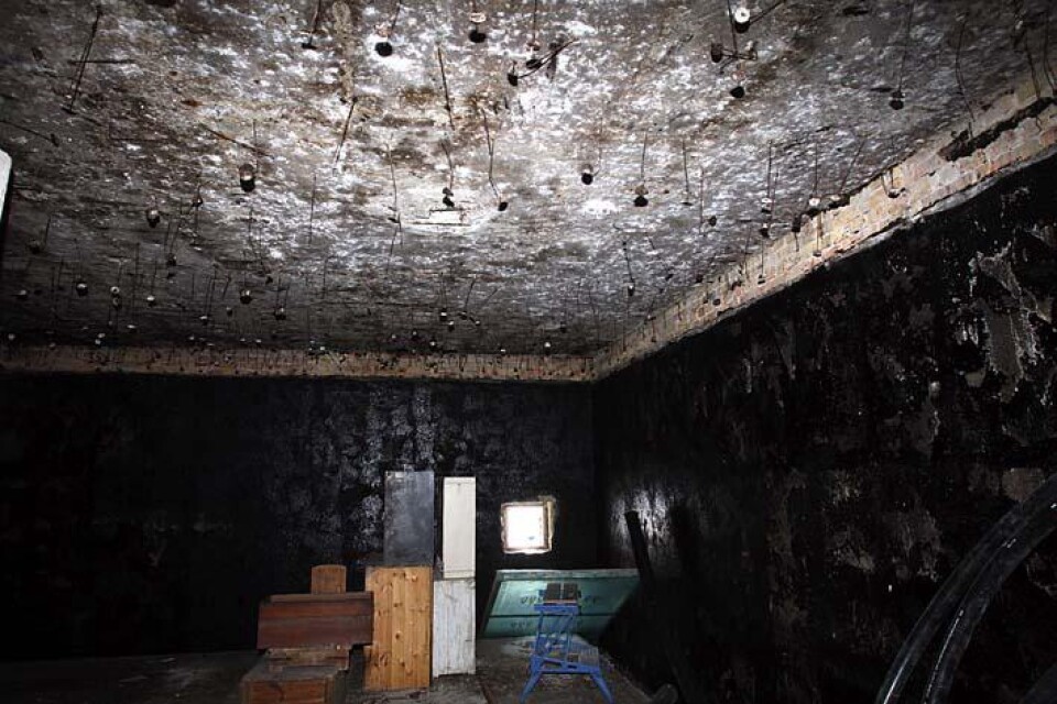 I det gamla frysrummet har den isolerande korken rivits bort från tak och väggar. "Under så är det svart tjära", säger Henrik Ulin som tycker att rummet ser ut som en medeltida fängelsehåla.