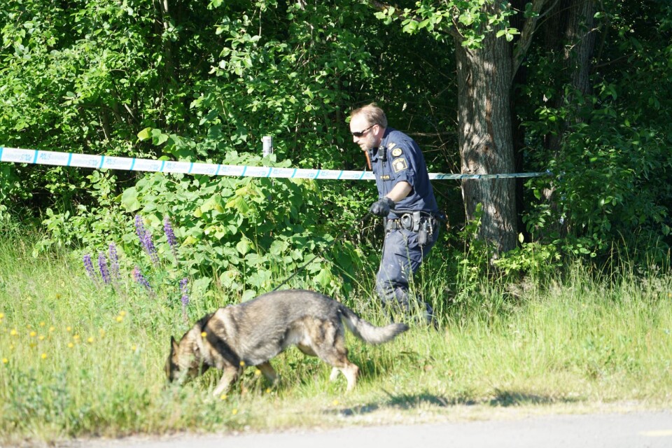 En specialsökhund letar spår på brottsplatsen omkring Hovsaga.