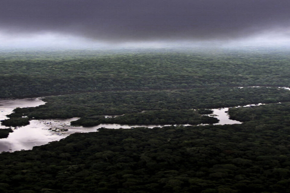 Gabon täcks till större delen av regnskog.