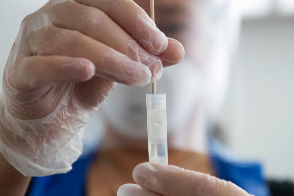 STOCKHOLM 20201124 En sjuksköterska i skyddsutrustning har utfört ett PCR covid-19 test på en patient. Foto Fredrik Sandberg / TT kood 10080