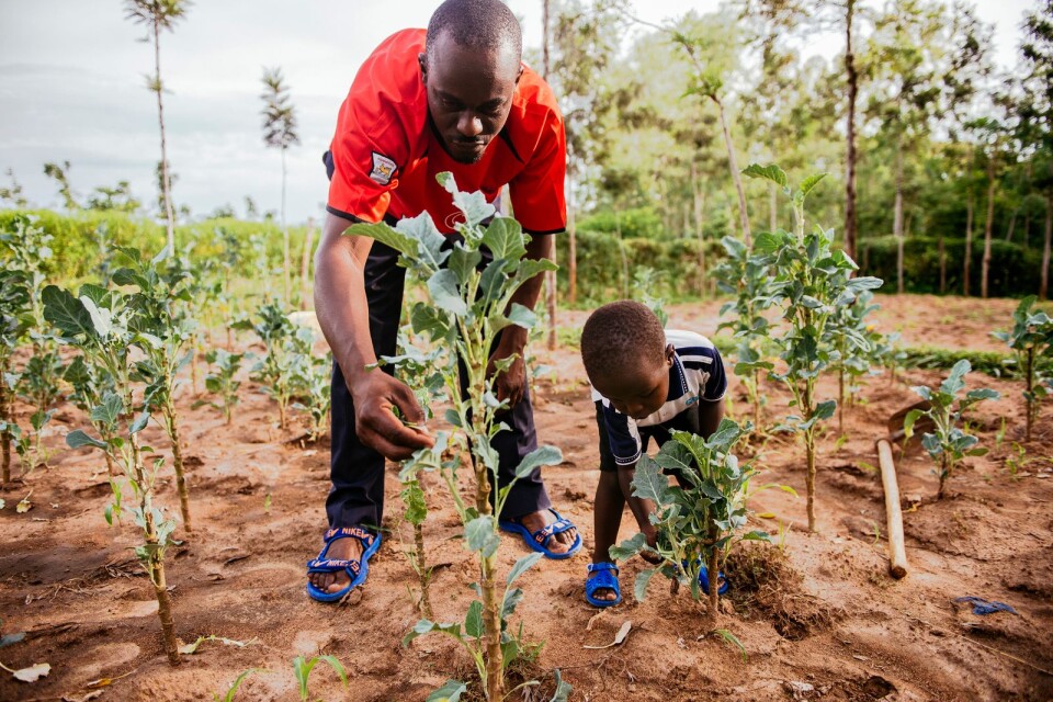 Tredubbad skörd. Kenyanska familjen Otuma är en av de familjer som drabbades av dåliga skördar och jorderosion på grund av torka och översvämningar. Som så många andra familjer i klimatutsatta områden kunde de inte äta sig mätta. Efter att ha ställt om till mer hållbart jordbrukande, med trädplantering som en viktig del, har de fått bördigare mark och tredubblat sin skörd. ”Vi behöver inte längre oroa oss över tillgången till mat”, säger Daniel Otuma, här med sonen James.