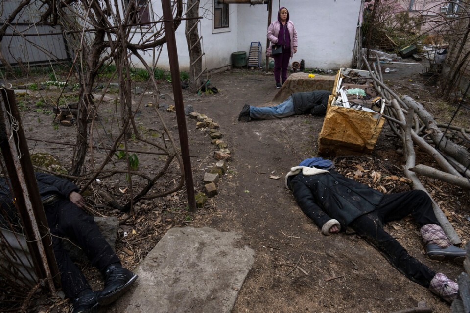 En kvinna ser ut över en gårdsplan i Bucha där tre personer ligger döda. Foto från den 5 april.