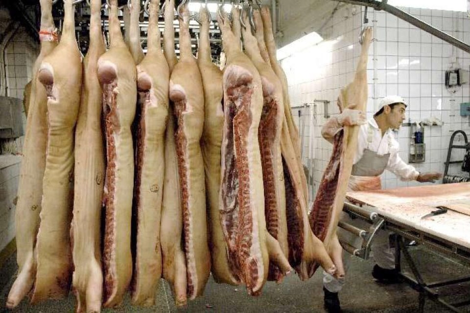 Skulle fler se hur det såg ut på slakterierna, skulle färre äta kött, menar en av insändarskribenterna.