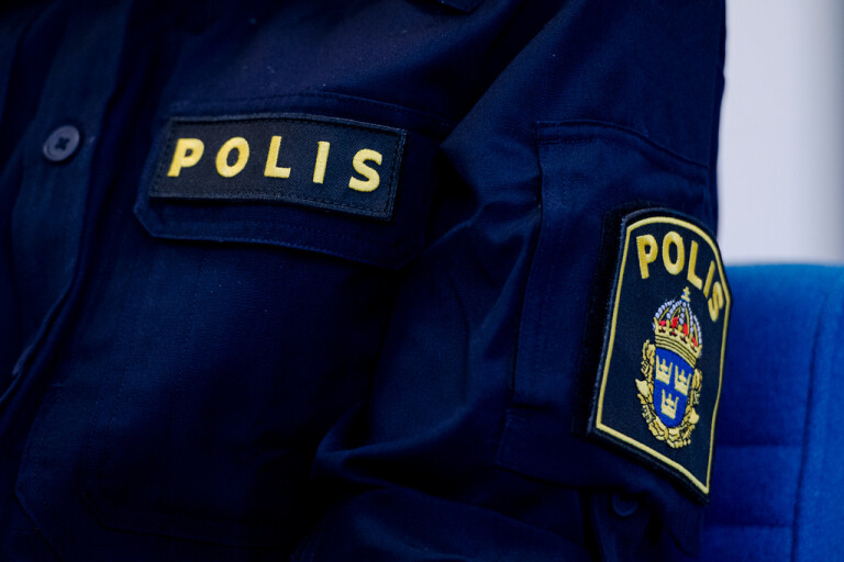 Man som sköts av polis i Borås häktas