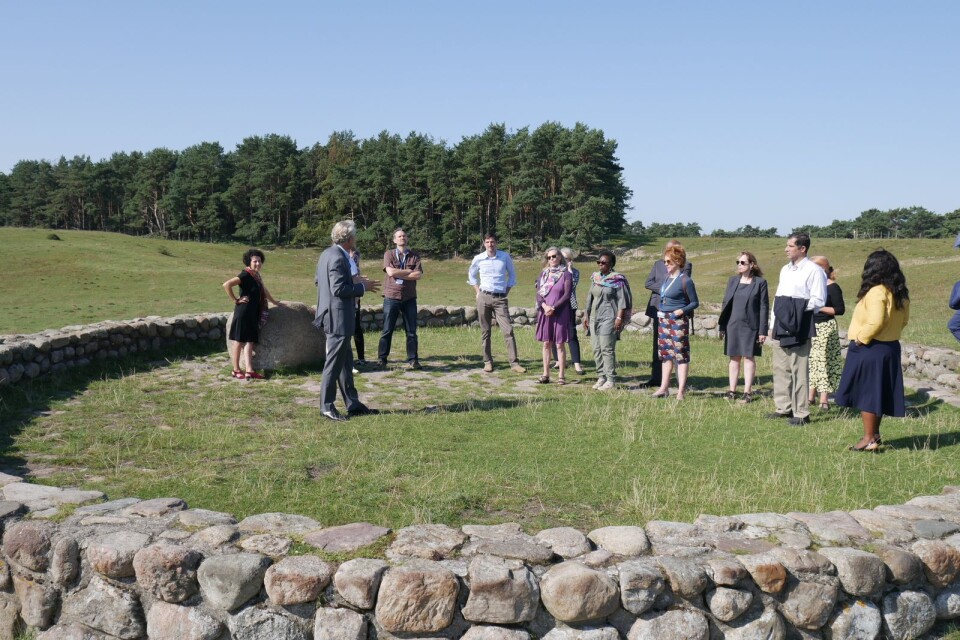 Henrik Hammargren från Dag Hammarskjöld Foundation visar deltagarna från FN meditationsplatsen vid Backåkra.