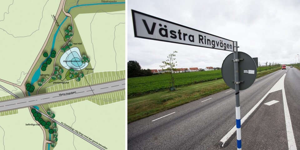 Den nya Västra ringvägen kommer att passera via en bro över Ståstorpsån. En å med höga naturvärden.