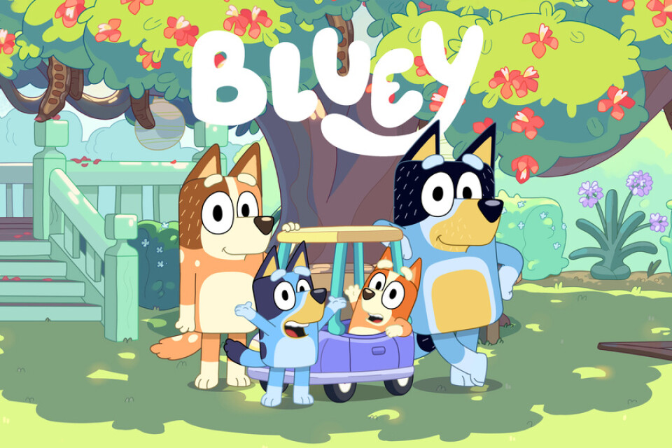 Bluey med familj i den populära australiska tv-serien. Pressbild.