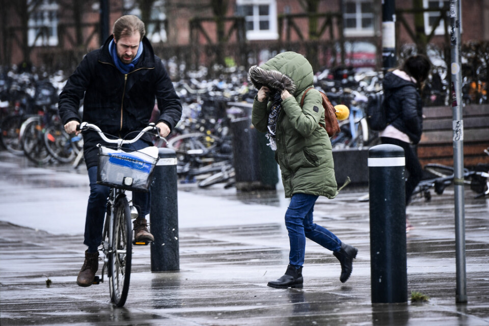 Våren dröjer. Väderläget i Sverige är fastlåst för närvarande med regn, snö och kalla vindar. Arkivbild.