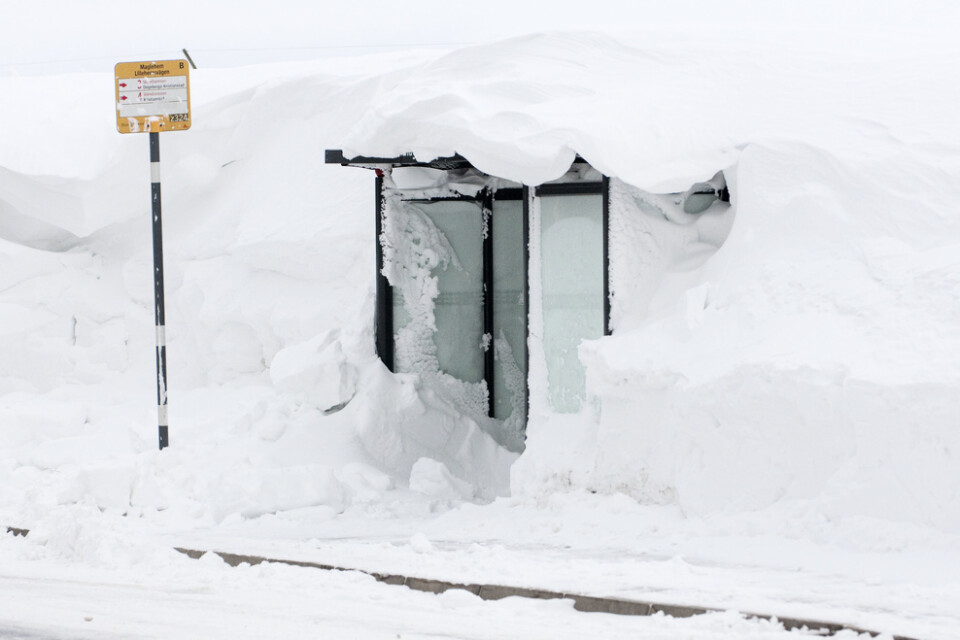 Snö och blåst – i Västernorrland kan det komma upp till fyra decimeter under måndagskvällen och natten mot tisdagen. Arkivbild.