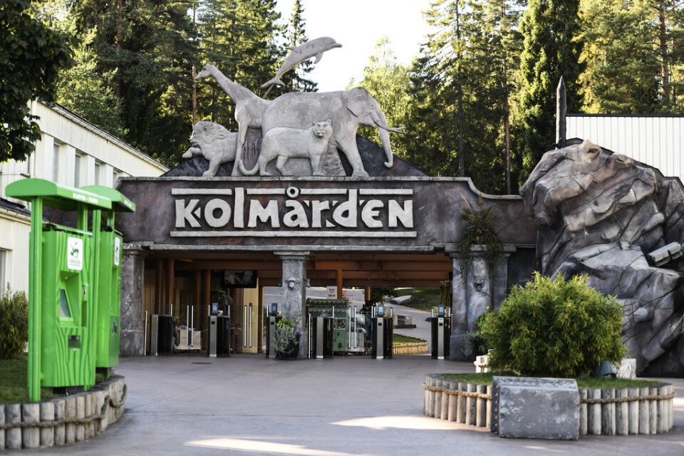 Kolmårdens djurpark utanför Norrköping öppnar delar av djurparken till påsk. Arkivbild.