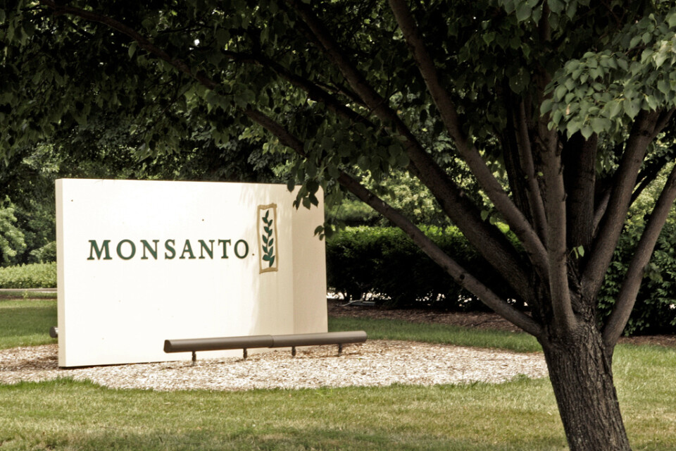 Monsantos bötesbelopp sänktes från 80 till 25 miljoner dollar. Arkivbild.