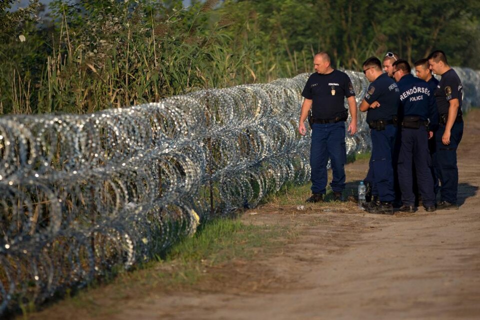 Taggtrådsstängslet utmed den ungerska gränsen, som syftar till att hålla migranter som försöker ta sig in i landet via Serbien borta, är nu upprättat, meddelar försvarsdepartementet. Ungern är därmed inhägnat med tre lager taggtrådsrullar längs den 175