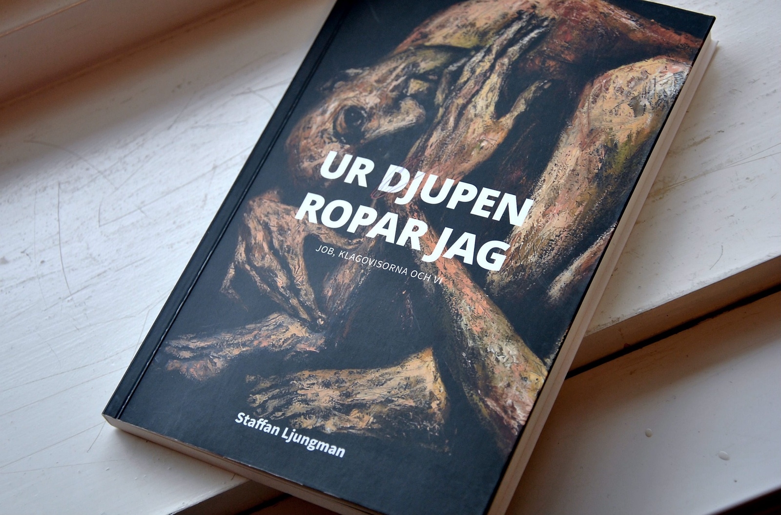 Staffan Ljungman släpper ny bok