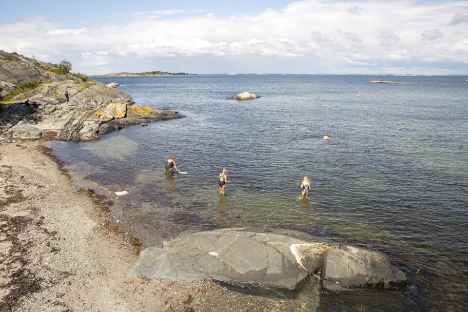 Kosterhavet är Sveriges enda marina nationalpark och ett av Carl och Isabel Waites favoritresmål.