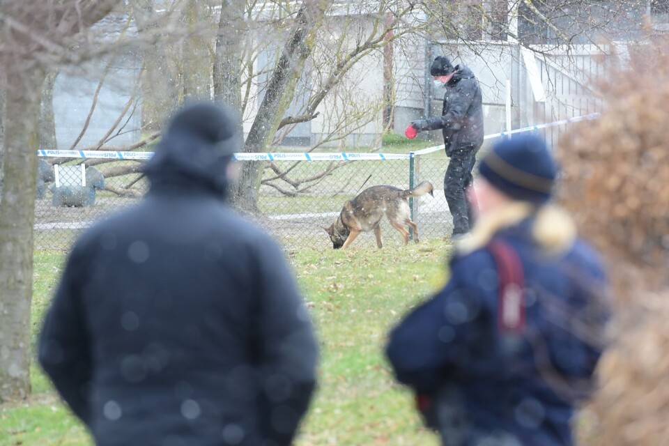 Polisen sökte av grönområdet intill CSK med hund.