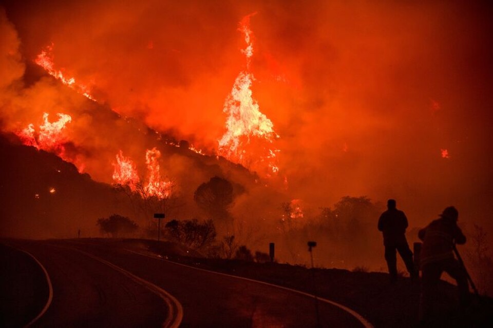 En av bränderna, kallad Thomas, i nationalskogen Los Padres nära Ojai, Kalifornien.