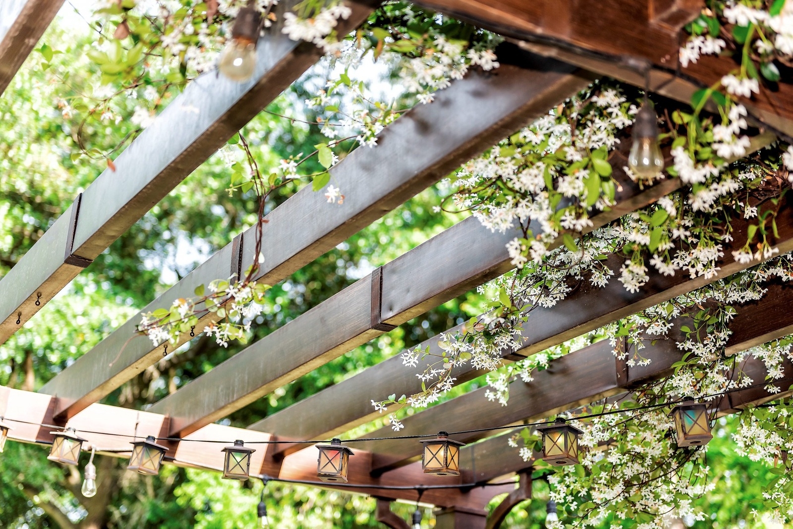 En pergola med klätterväxter ger ett ljuvligt skydd mot solen. 
Foto: Kristi Blokhin