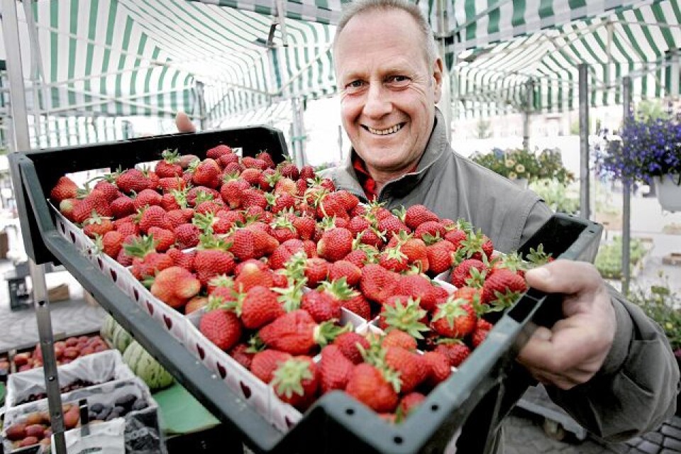 Lars på Törnqvists Handelsträdgård i Vanneberga säljer närodlade jordgubbar på torget i Hässleholm. Foto: Stefan Sandström