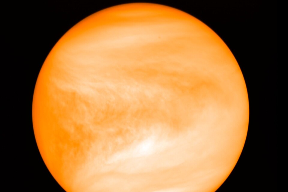 Rapporter i september menade att astronomer sett signaler till möjligt liv på planeten Venus.