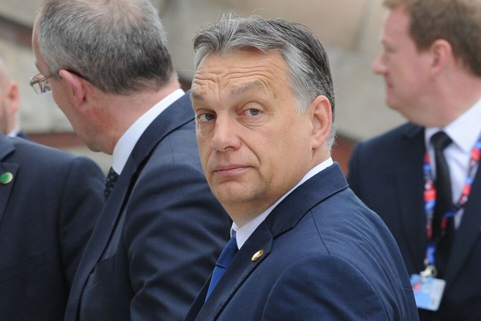 Ungerns premiärminister Victor Orbán.