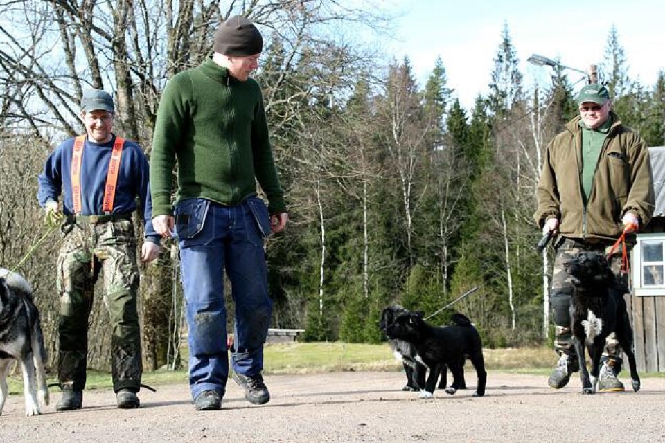 Torbjörn Hidendahl, Calle Andreasson och Leif Andreasson. Och hundar som gått matcher mot vildsvin.