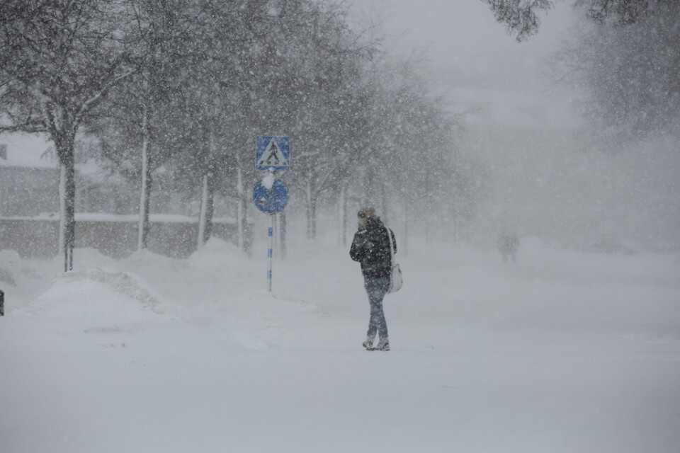 Stora mängder snö väntas falla i Dalarnas och Västernorrlands län. Arkivbild.