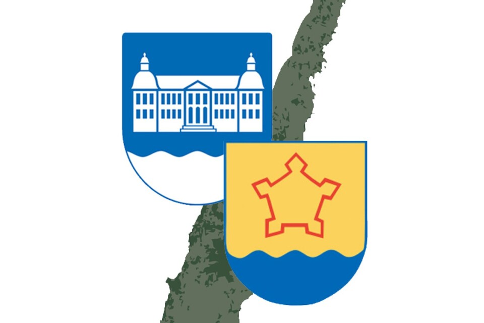 Insändarskribenten vill se Öland som en enda kommun.