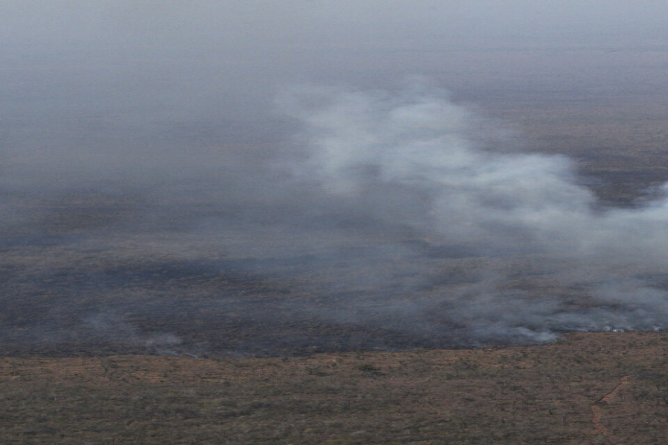 På bilden syns en skogsbrand i östra Bolivia i slutet av augusti.
