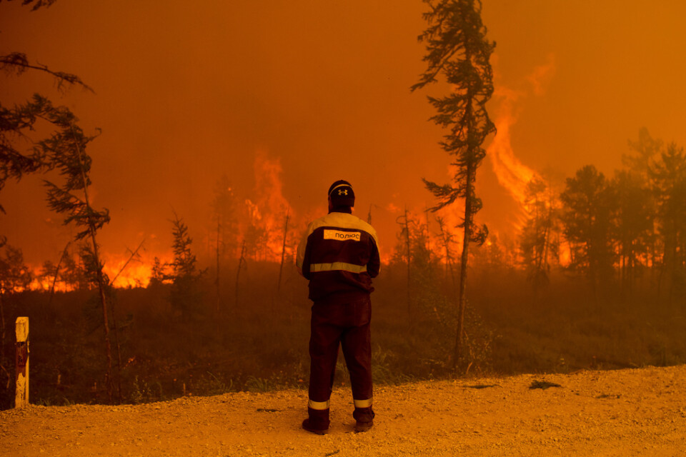 Bränderna i Sibirien har de senaste åren varit av en aldrig tidigare skådad omfattning. Bilden, som är tagen i augusti 2021, är från skogarna i Jakutien (Sacha-republiken) i nordöstra Sibirien.