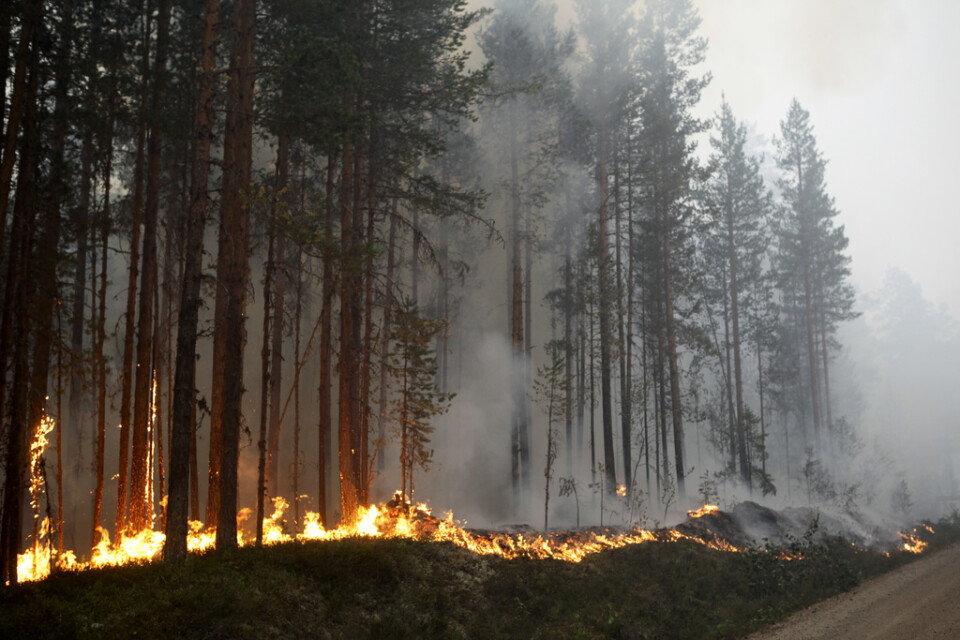 A-kasseregler kan leda till brist på räddningspersonal vid skogsbränder, varnar bland andra SKR.