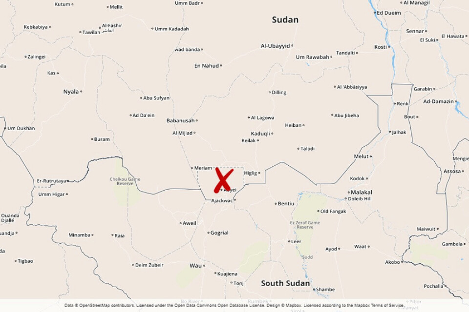 Den omtvistade gränsregionen Abyei.