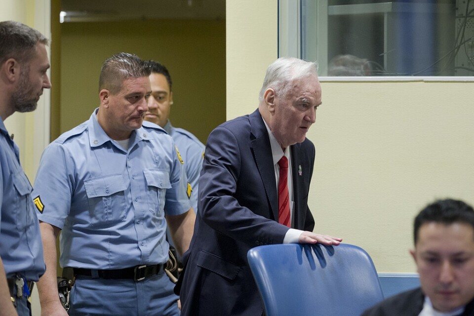 Ratko Mladic under dagens rättegång. Foto: TT-bild