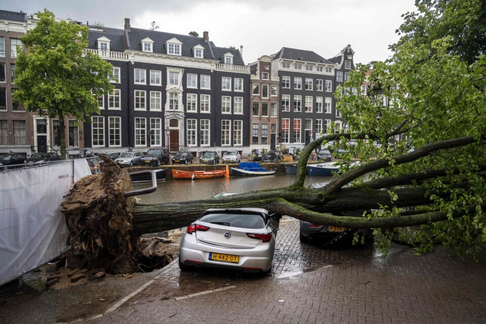 En kraftig sommarstorm har orsakat stor förödelse i Amsterdam.