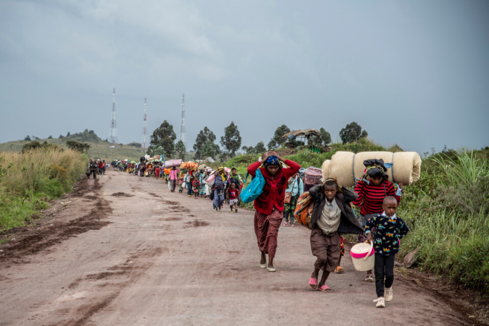 Flyktingar undan strider norr om Goma mellan kongolesiska regeringsstyrkor och rebellrörelsen M23. Arkivbild