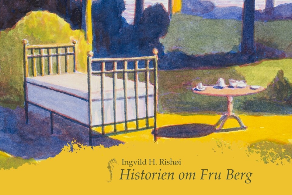 Bokomslag, ”Historen om fru Berg” av Ingvild H. Rishøi.